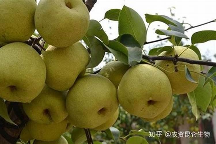 二十三四岁的孩子补钙用哪些钙呢？