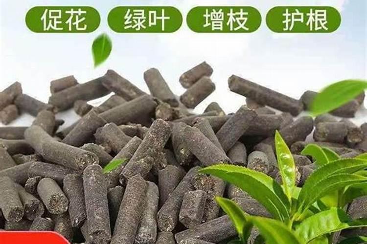 樱桃树花期叶面肥和蜂蜜水能混打吗？