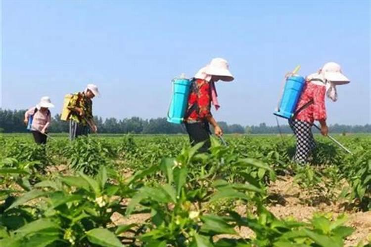 天水的农业观光园有哪些推荐？