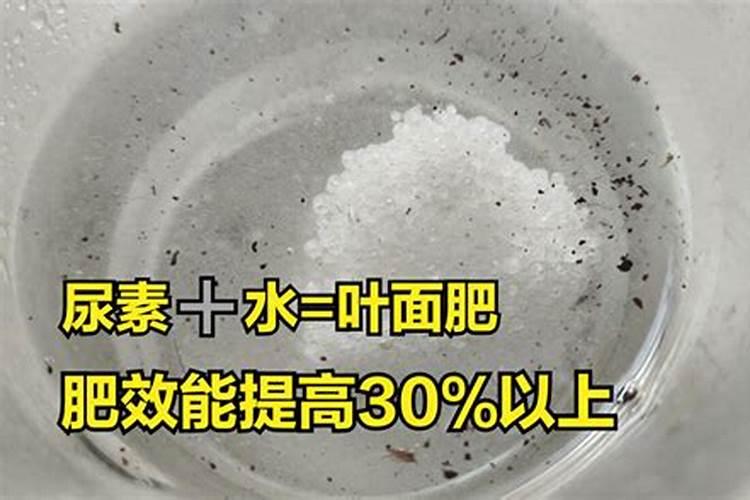氮磷钾三种肥对植物的作用是什么？如何使用？