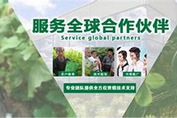 水溶肥结块是啥原因