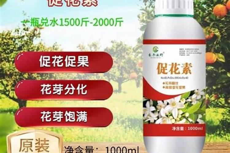 浇花的磷肥有哪些