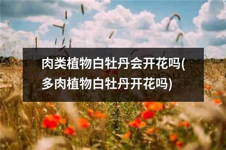 牡丹花什么时候施肥好