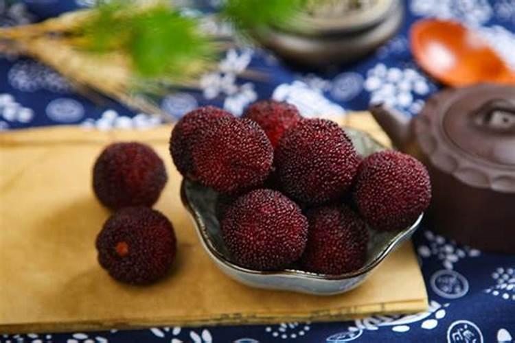 杨梅树成年树该怎样施肥？