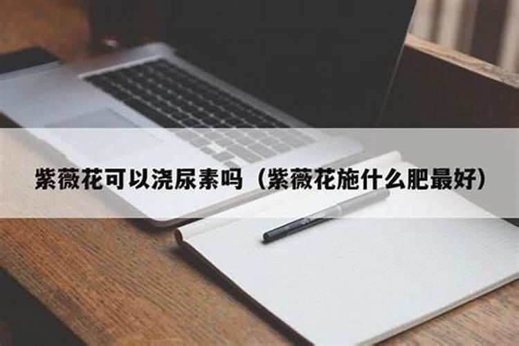 农家肥含钾最高的是
