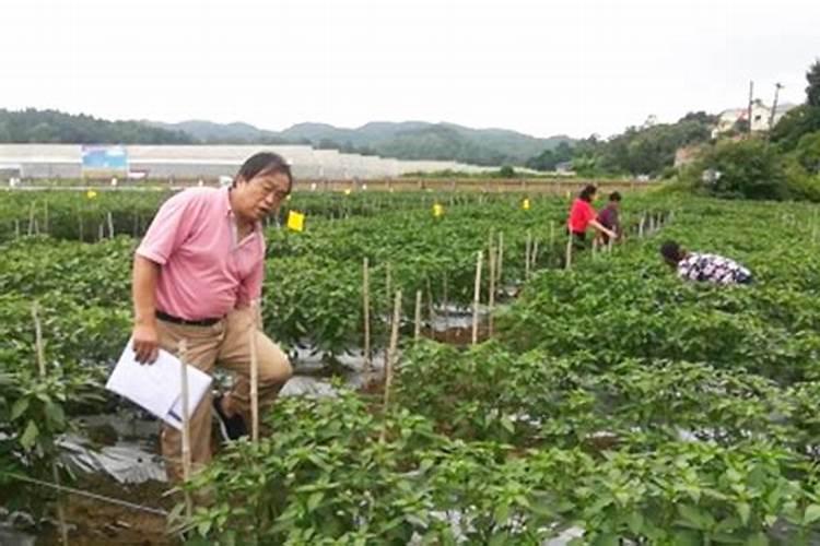 贵州禾壮农业生态有限公司怎么样？