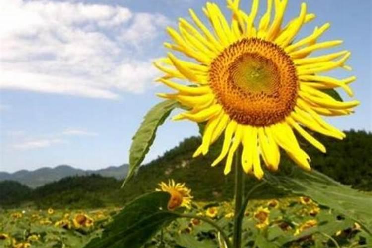 广东本地保温杯品牌