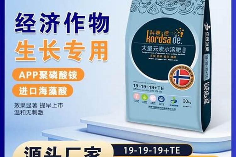 小麦打什么叶面肥增产