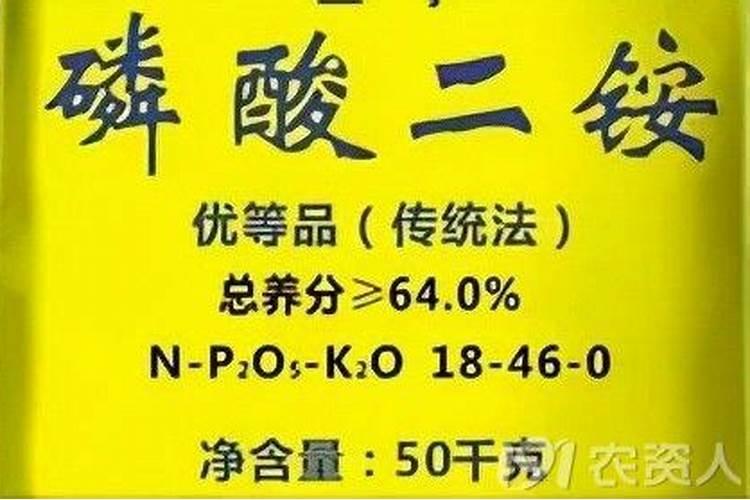 夏天移栽的蓝莓苗多久缓苗
