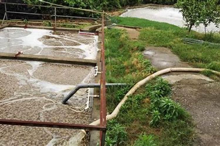 霸特水溶肥效果怎样