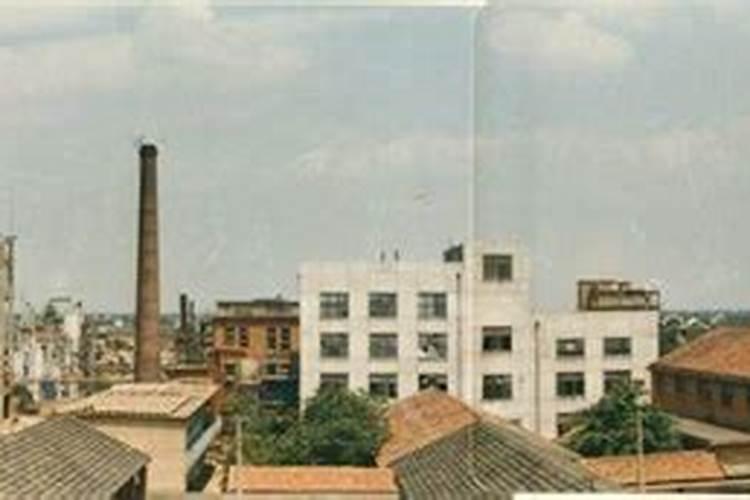 龙利鱼的营养价值