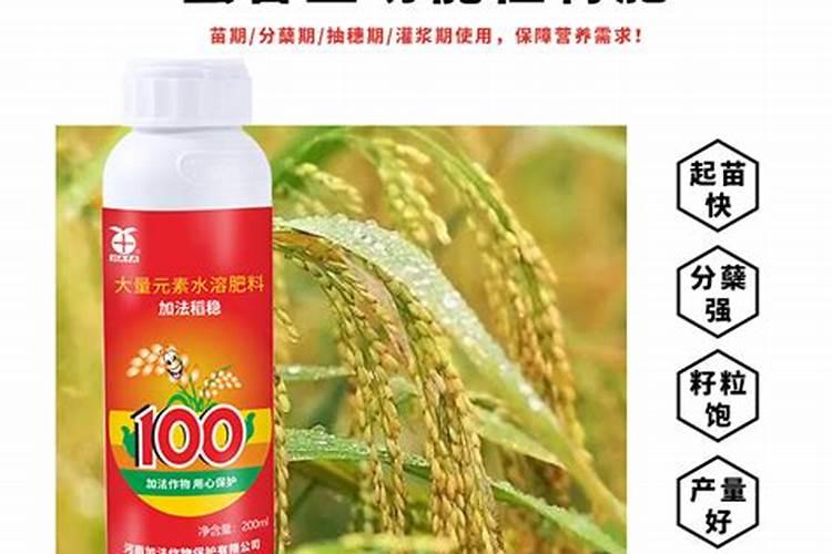 一个鱼鳔丸,大补肝肾,益精血？男女都可用