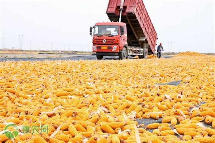 中国钾肥前十名上市公司