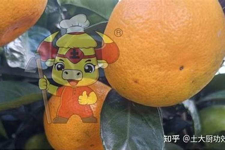 鲁花为什么坚持用物理压榨？