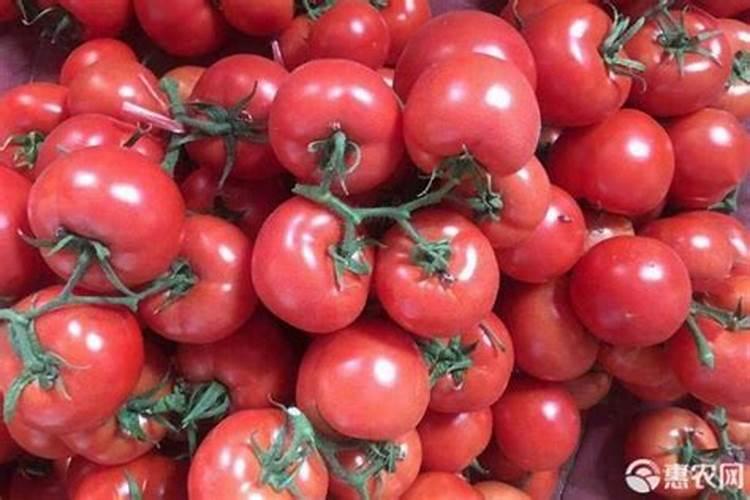 柠檬酸钛与柠檬酸螯合钛一样吗