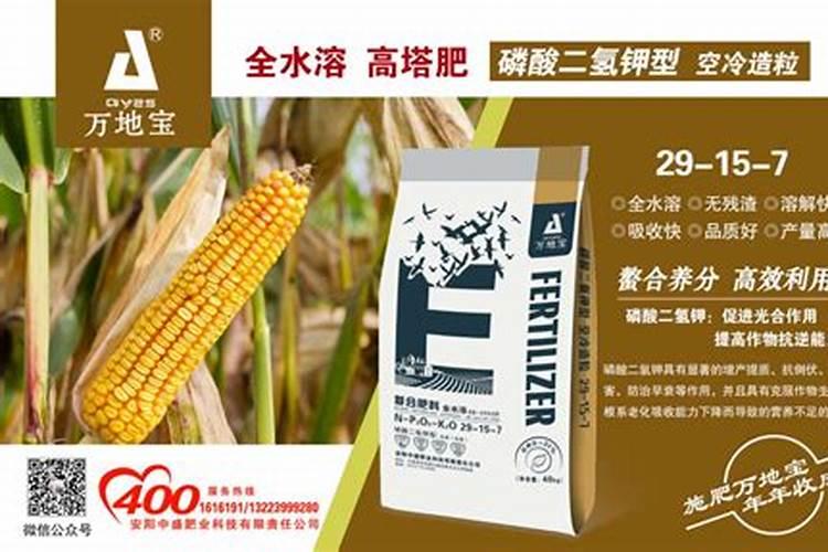 玉米用哪种复合肥最好
