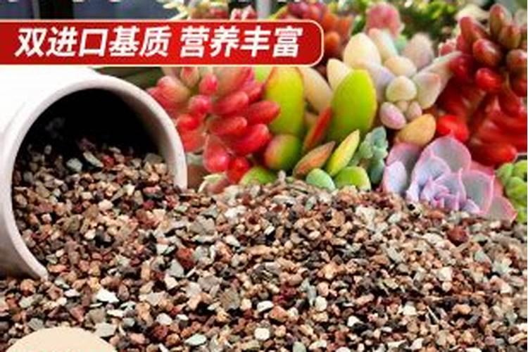 云南化肥十大名牌排名