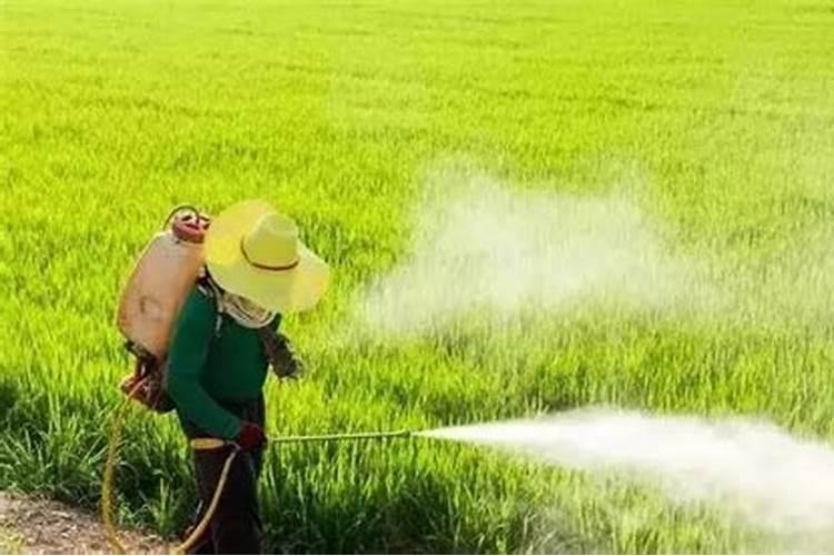 根据生物药剂学分类系统,属于第Ⅳ类低溶解度、低渗透性的药物是