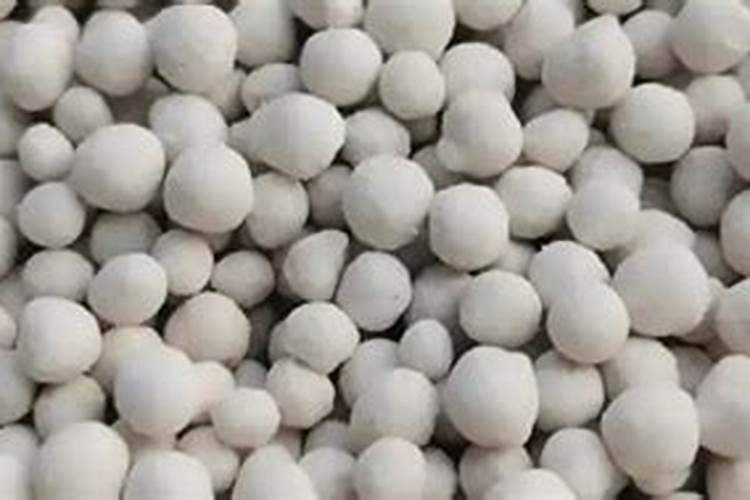 丝瓜种植多少天施肥