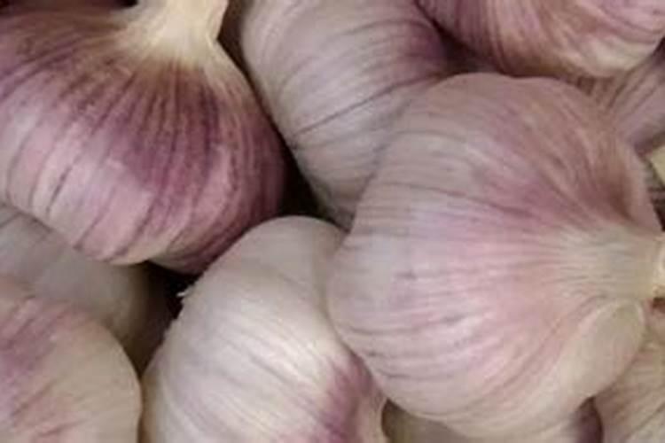 大蒜追肥用什么肥料好