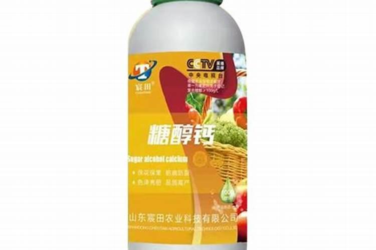 农业种植厂起什么名字好 农业种植园起名字