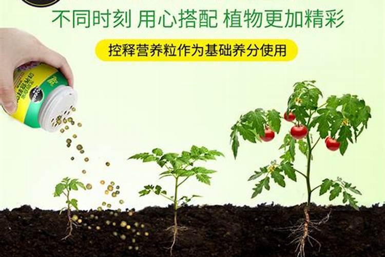 什么花可以用复合肥