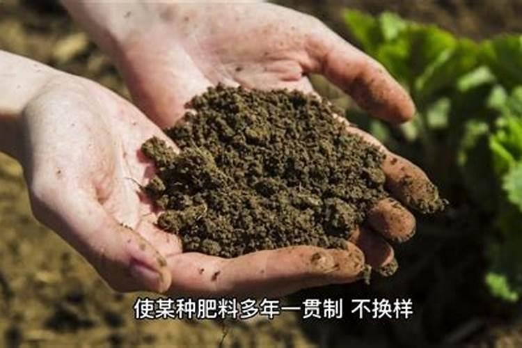 养花底肥选择需谨慎,有机肥和复合肥如何合理选用？