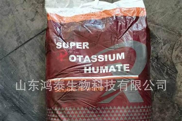 骨粉兑水浇花还是埋在土里好