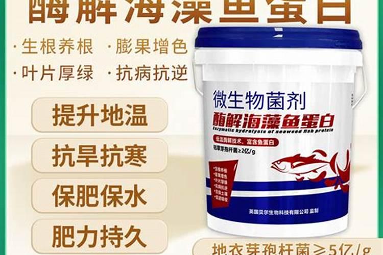 请问,我家这棵芒果树是怎么回事呢？叶子都发黄了？