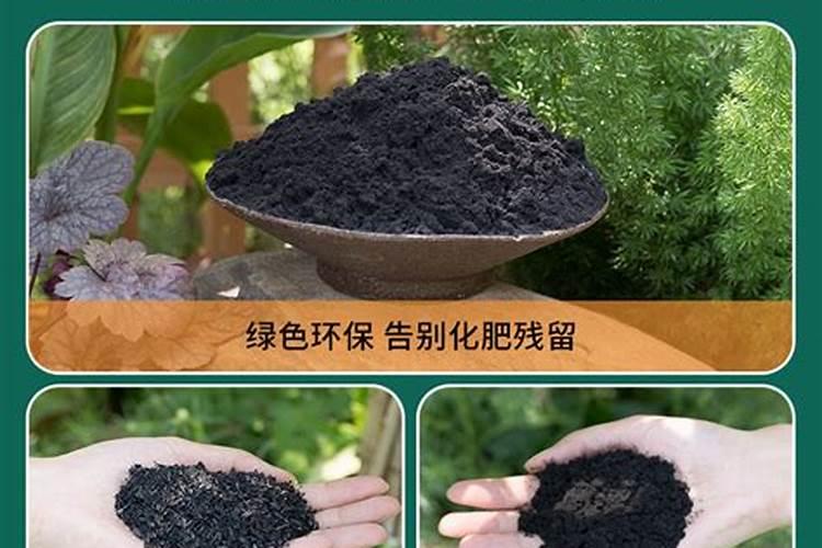 草木灰能当肥料用吗