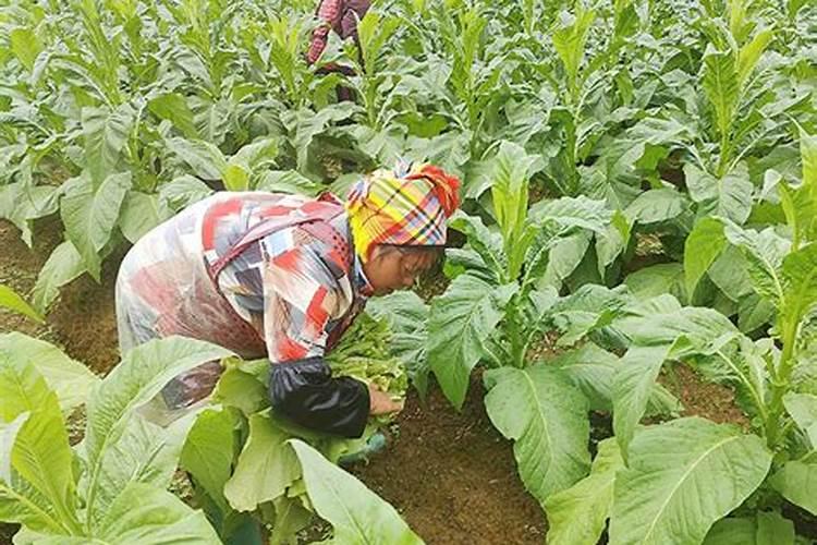 建行茂名市分行:上门服务等方式解决老年客户业务需求