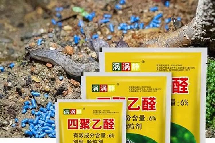 百香果防霖种植方法