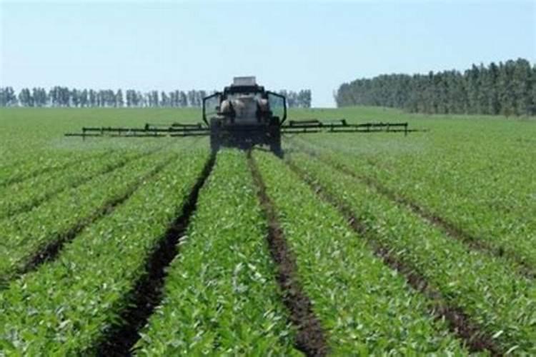 为什么植物生长需要农家肥