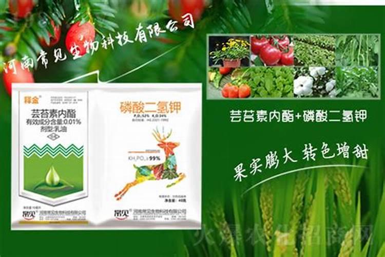 芸台素,氨基酸,磷酸二氢钾,硼肥可以一起用吗？