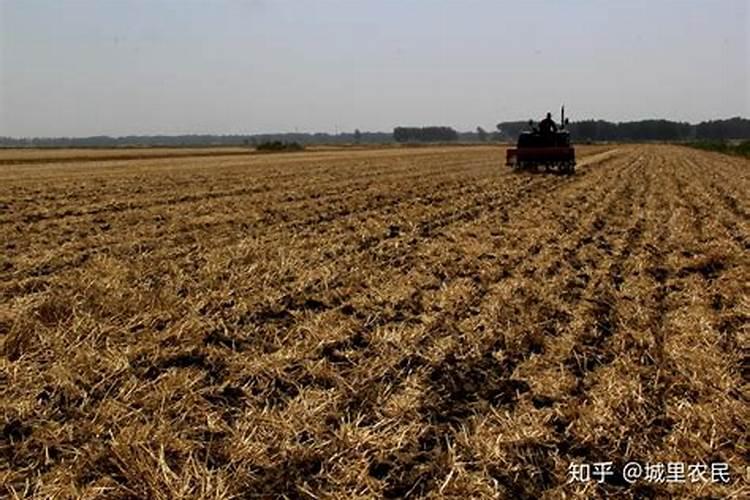 中国芸苔素十大品牌有哪些