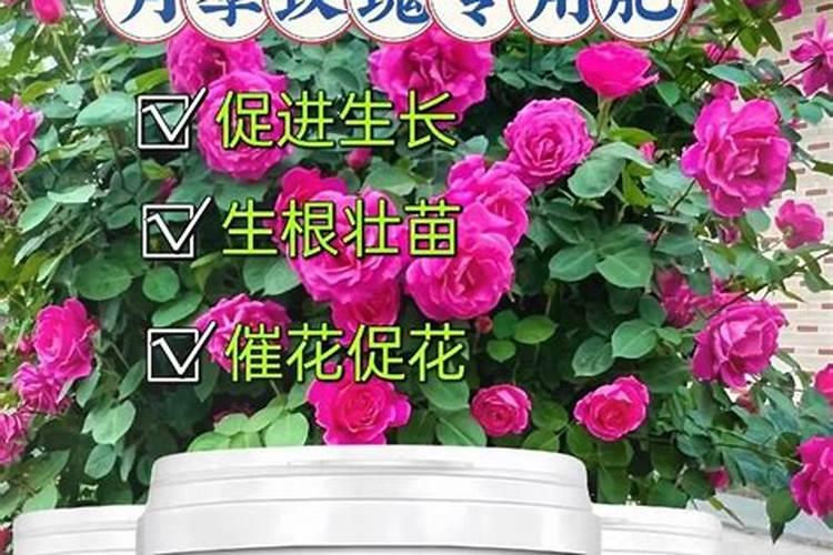 粪污和粪肥有什么区别