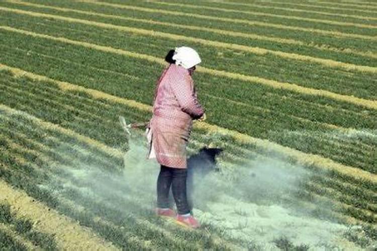 氨基酸水溶肥多少钱一袋