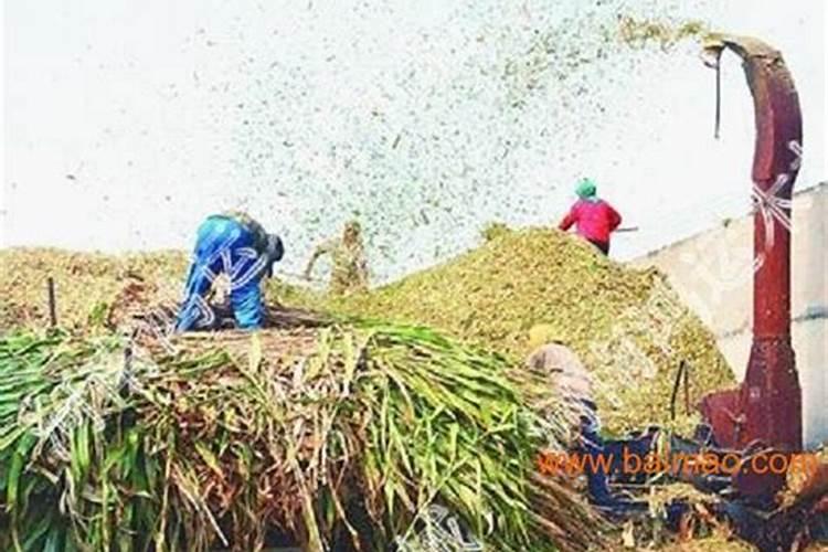 环保节能新技术秸秆转化利用技术内容简介
