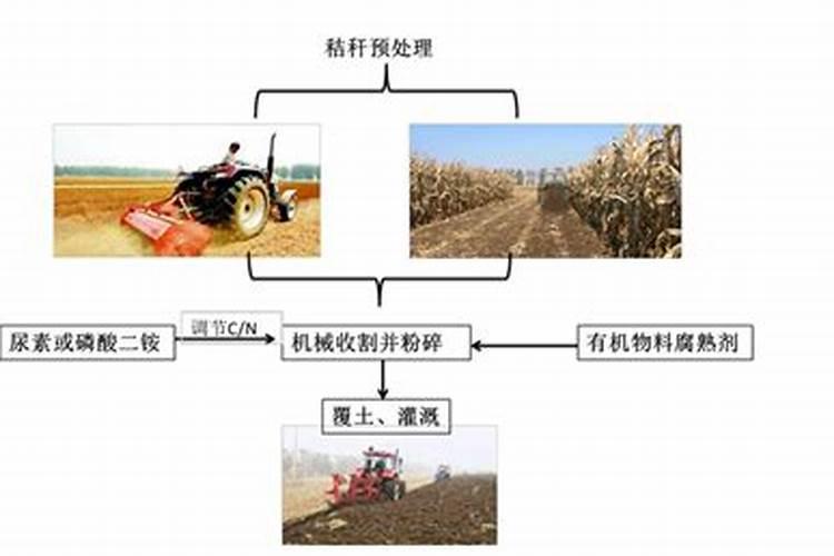 怎样使废弃的农作物秸秆再次被利用
