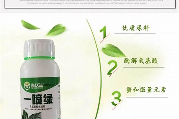 一帆风顺施肥用什么肥料好 浇四种肥料开花快
