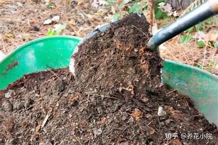 硼肥对人体有毒吗 用多了有什么坏处