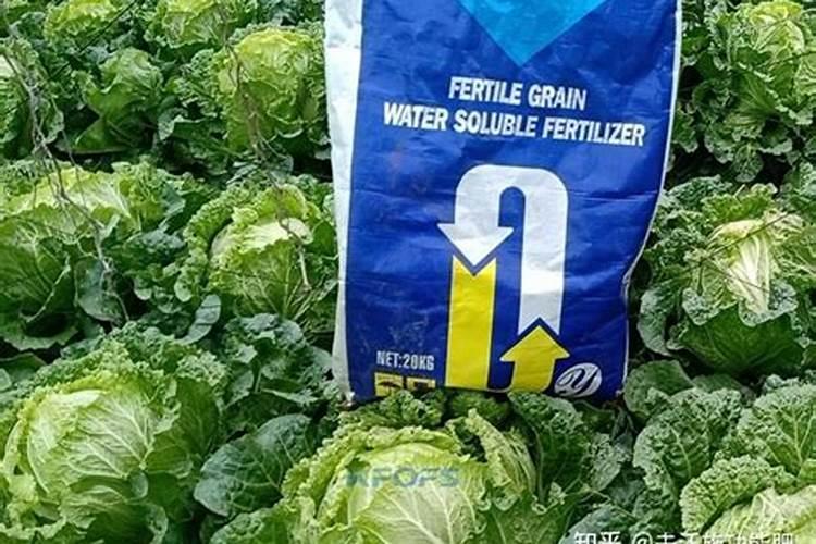 水溶肥怎么使用才更加科学？