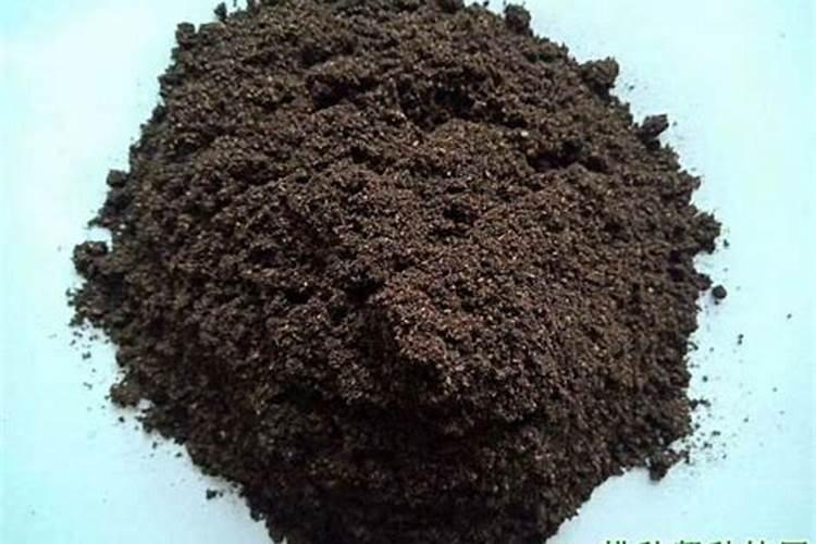 辣椒果实炭疽病用什么药