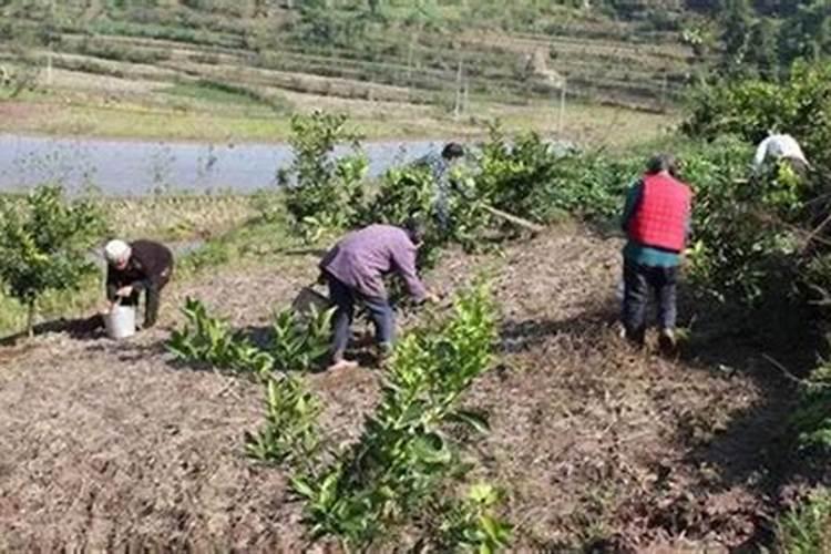 五氧化二磷为什么是白烟