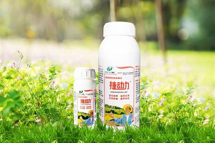 芸台素,氨基酸,磷酸二氢钾,硼肥可以一起用吗？