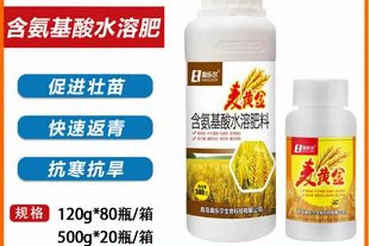天津的大型花卉市场在哪里