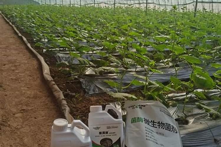 腐植酸复合肥好吗