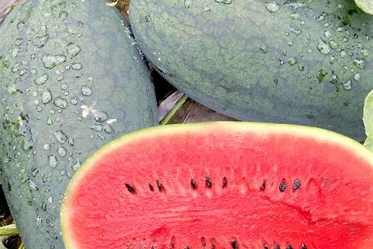 西瓜瓤发黄背后的原因是什么