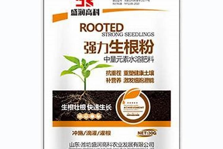 生根最快的肥料是什么呢？怎么使用呢？