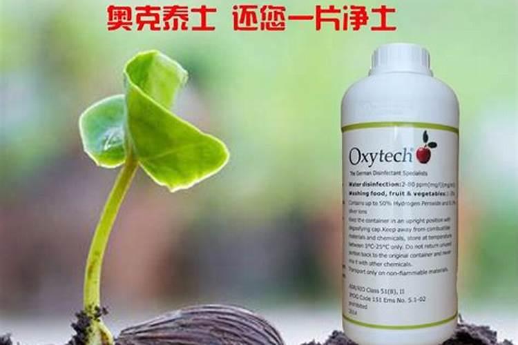 女人缺微量元素的表现